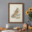 Toile encadrée de qualité supérieure Hawk Owl - prête à être accrochée-604141485-604141484