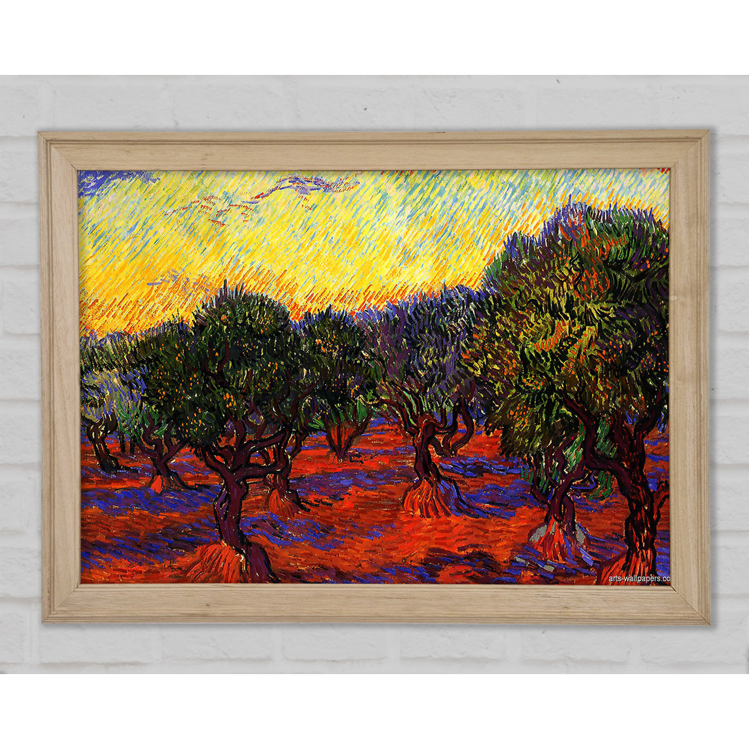 Van Gogh 1889 Olive Grove - Einzelner Bilderrahmen Kunstdrucke