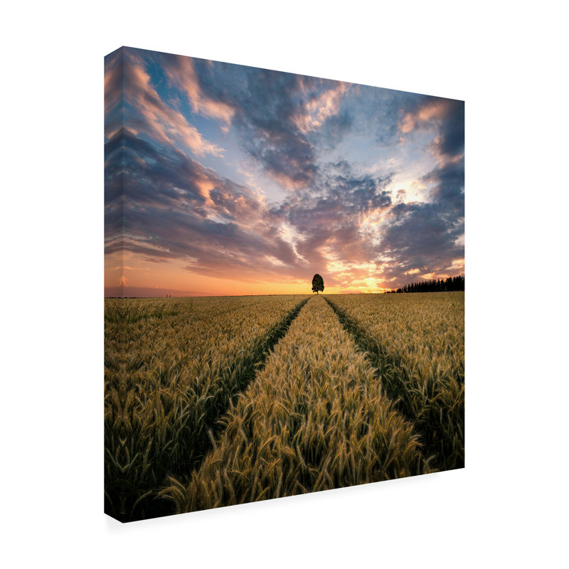 Christian Lindsten  Field Of Dreams Canvas Art, H 14 po x l 14 po x P 2 po