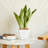 2-Pack Smart Self-watering Planter Pot-860504254
