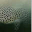 Vidur «Cheetah on the Prowl», impression sur toile tendue-22074764