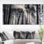 «Sunbeam Through Black White Forest», photographie-35125685-35125679