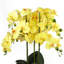 Plant-88685042-88685043