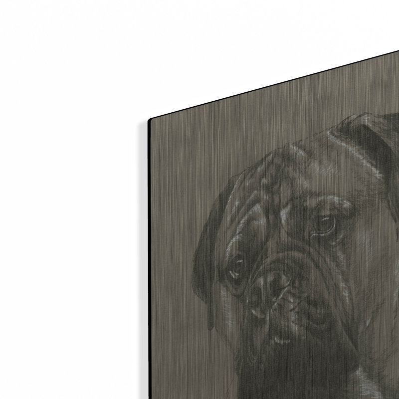 "Bull Mastiff" par Barbara Keith, H 24 po x l 16 po