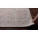 Gelo Oriental Indoor Rug