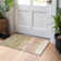 Machine Washable Indoor/Outdoor Cinead ACN1699 Tan Rug