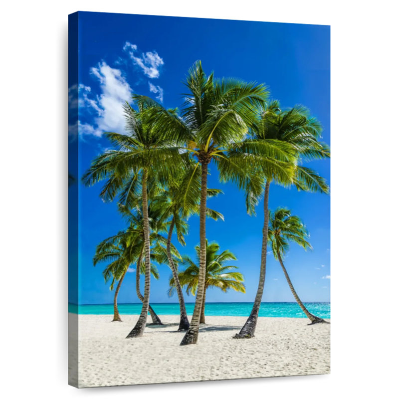 Gillard sable blanc Gillard Palms, H 12 po x l 8 po