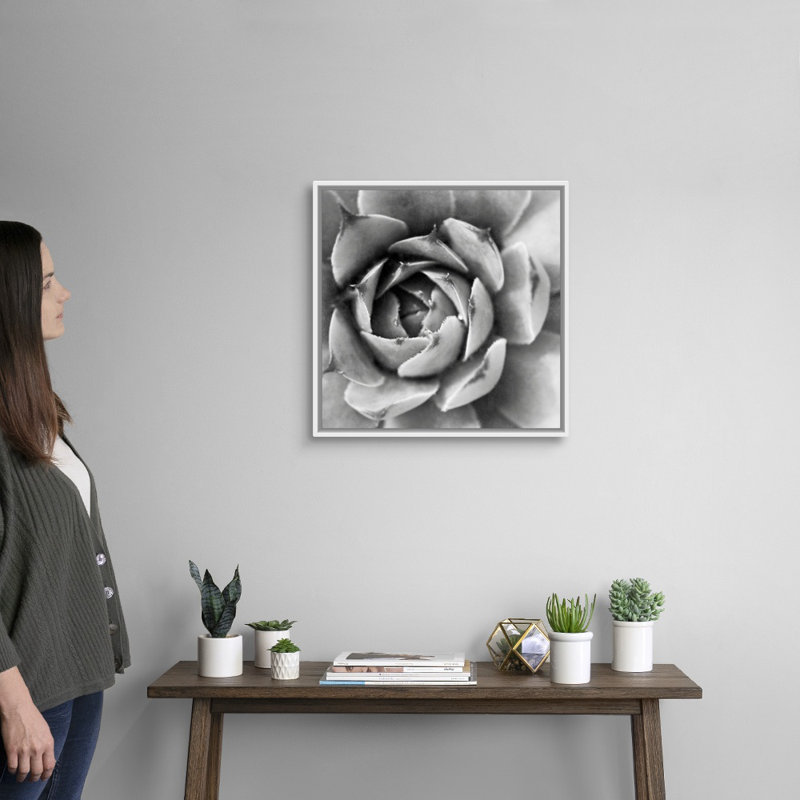 «Garden Succulent II», art mural sur toile, Toile avec cadre blanc, H 20 po x l 20 po x P 1,75 po