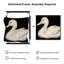 Très grande reproduction d'art sur toile - cygne noir minimaliste sur fond crème pour le salon ou la chambre à coucher - «Assemblage requis du cadre (cadre non fini)»-129758802