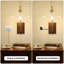 2 - Light Plug in Swing Arm Wall Sconces with Glass Shade-593411682