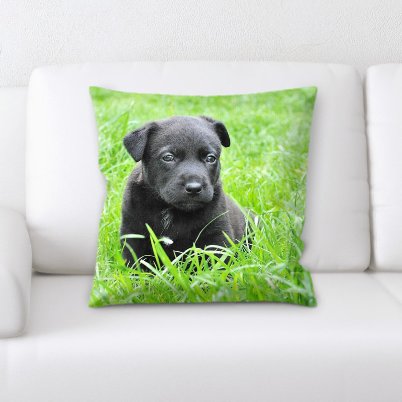 Coussin pour chien