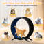 93 cm H Cat Tree / Condo-1874770871