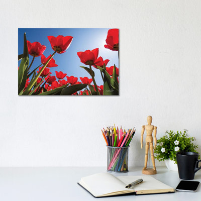 Look Up In Red by Martin Podt - Wrapped Canvas Print