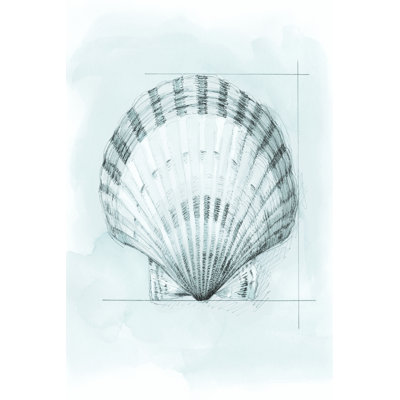 Coastal Shell Schematic III by Megan Meagher - Painting on Canvas