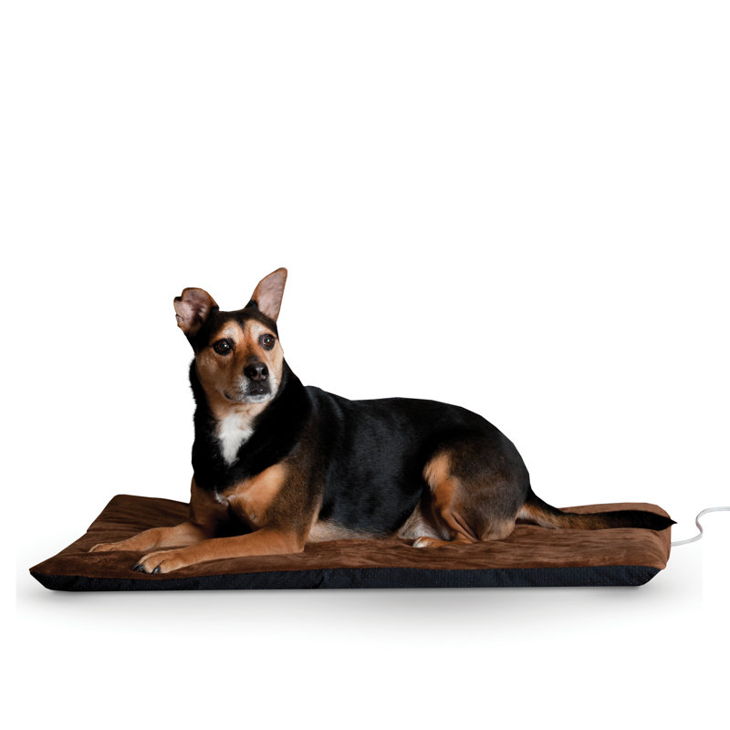 Coussin Thermo-Ortho avec fond «Stay Put», Très grand (l 43 po x P 33 po x H 3 po), Chocolat