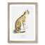 Asiatic Wildcat Illustration by John Edward Gray - Single Picture Frame Painting-57844337-57844338