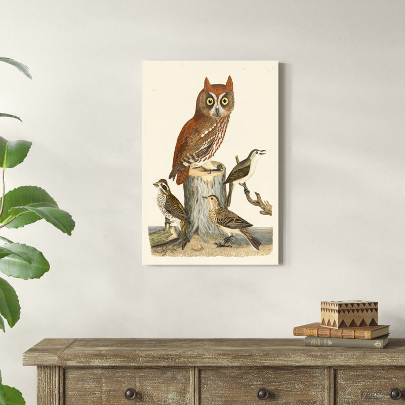 Wilson Owls II, H 30 po x l 20 po x P 1 po