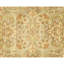 Hand Knotted Wool Oriental Area Rug in Light Green And Ivory