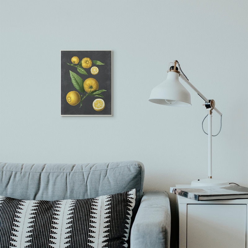 «Botanical Dessin Lemons On Black Design», impression, H 15 po x l 10 po, Plaque murale