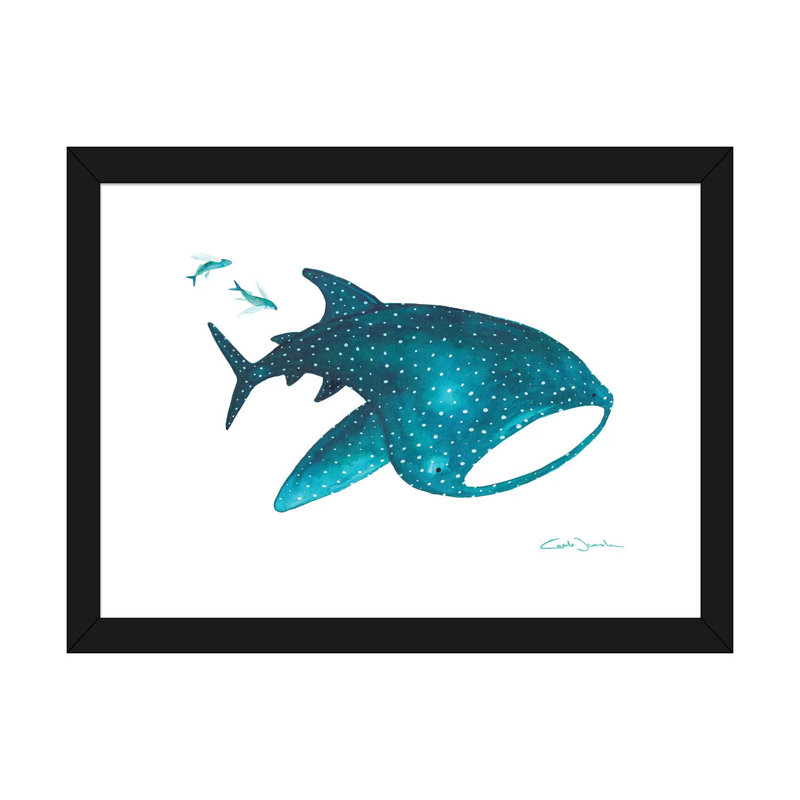 " Whale Shark And Fishes ", White, 16" H x 24" W x 1" D, Black Framed Paper