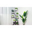 Anesca Plant Stand