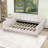 Hiromitsu Upholstered Daybed with Support Legs-224540627-224540626