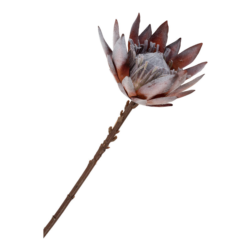 Protea Arrangement
