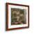 Érable