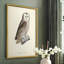 French Owls V Framed Print - Solid Wood-333982363