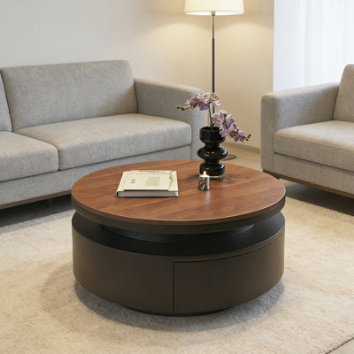Table basse simple avec rangement