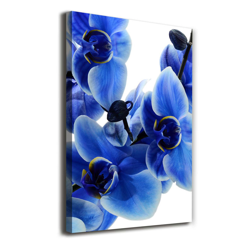Blue Orchid - Wrapped Canvas Print