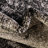 Croslin Indoor Rug-173577729