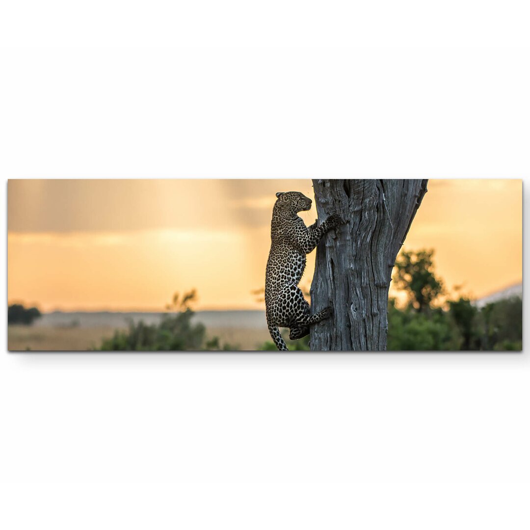 Leinwandbild Leopard auf einem Baum