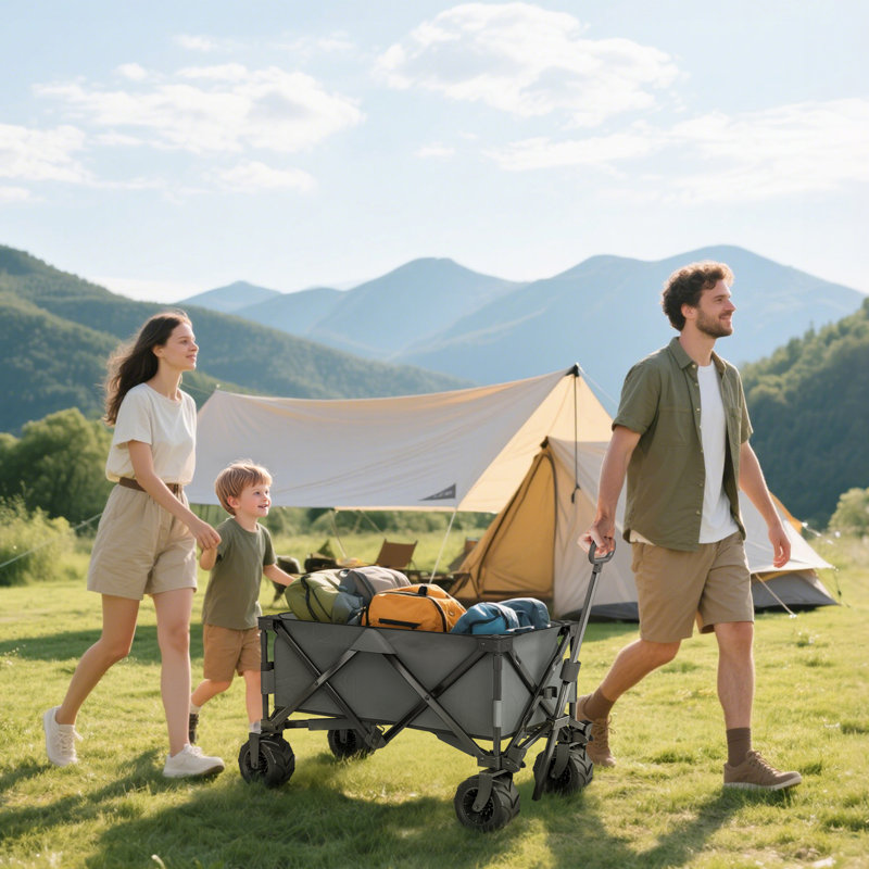 Chariot sur roulettes, remorque de camping pliante, gris foncé
