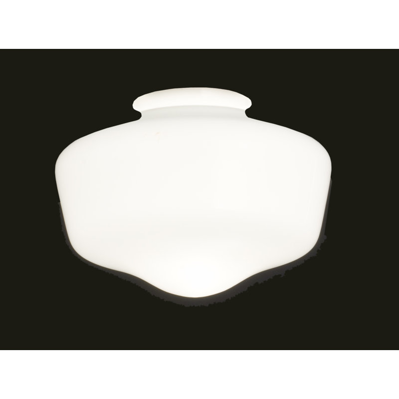 Novelty Lamp Shade