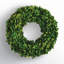 Alby Preserved Boxwood Real Greenery Wreath-233478299