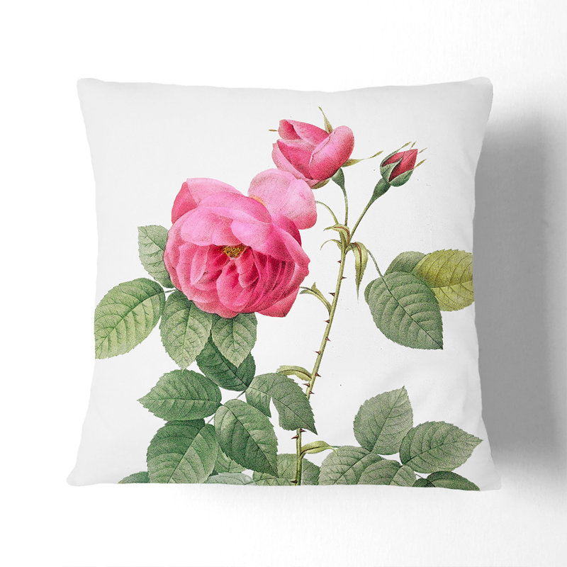 Bourbon Rose In Pink Square Throw Cushion, White, 55cm H x 55cm W x 20cm D