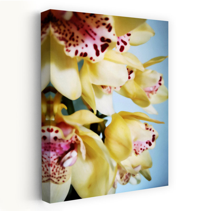 Art contemporain, art abstrait, orchidée, nature, tropical, H 12 po x l 8 po