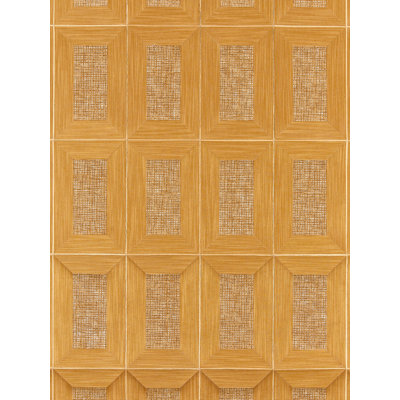 Libro | Woven