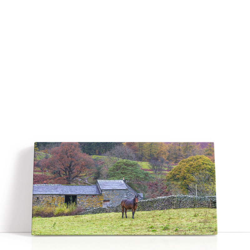 Cheval dans un champ - reproduction d'art sur toile, H 10 po x l 20 po