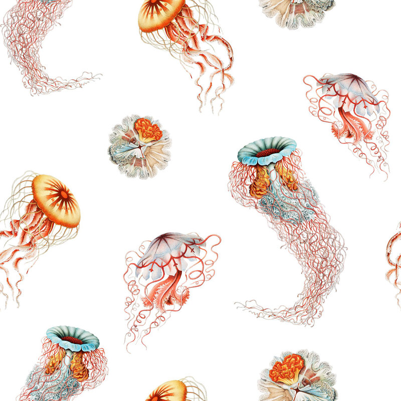 Medusa, Deep Sea, Non-Woven