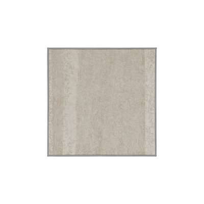 Machine Washable Gray Area Rug GSIX03681