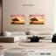 Arbre Divi Divi Aruba-779273952-779273955