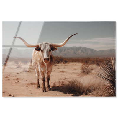 Décoration murale occidentale Longhorn, bovins, pâture, acrylique, par Notoriart, prête à être accrochée, 24 x 16