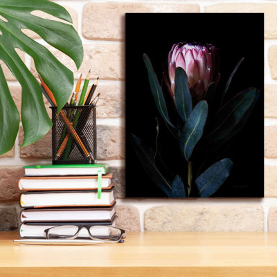 «Protea Portrait on Canvas» par Elise Catterall, reproduction