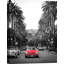 Boulevard In Hollywood - No Frame Print on Canvas-59075805