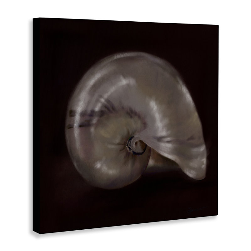 Seashell, trésor de la mer, toile par Mary Sparrow, H 24 po x l 24 po