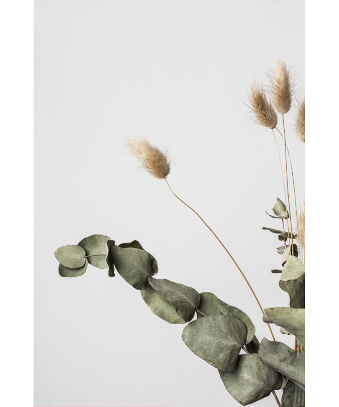 Wrapped Canvas Print, 60.96cm H x 91.44cm W