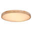 Hamlin Plastic LED Semi Flush Mount
