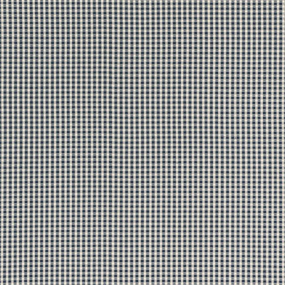 Aruba Check Fabric